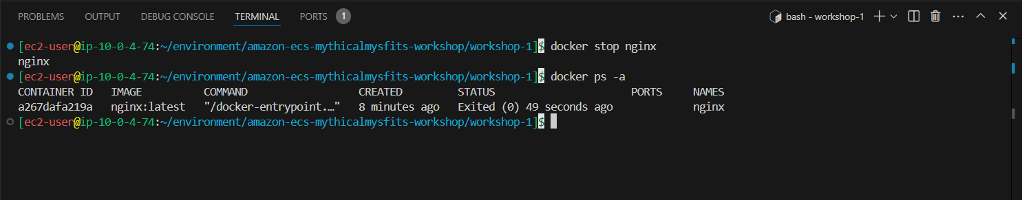 Docker basic