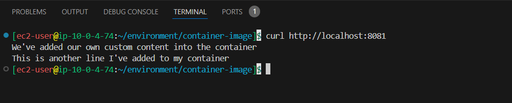 Building a container image