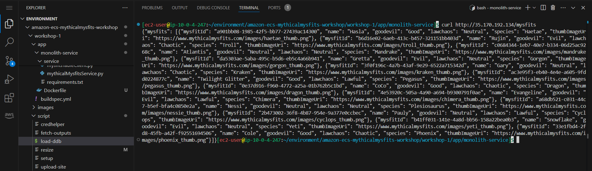 Deploy the container using AWS Fargate